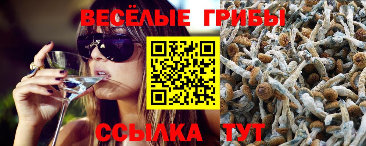 Галлюциногенные грибы MAGIC MUSHROOMS Горно-Алтайск