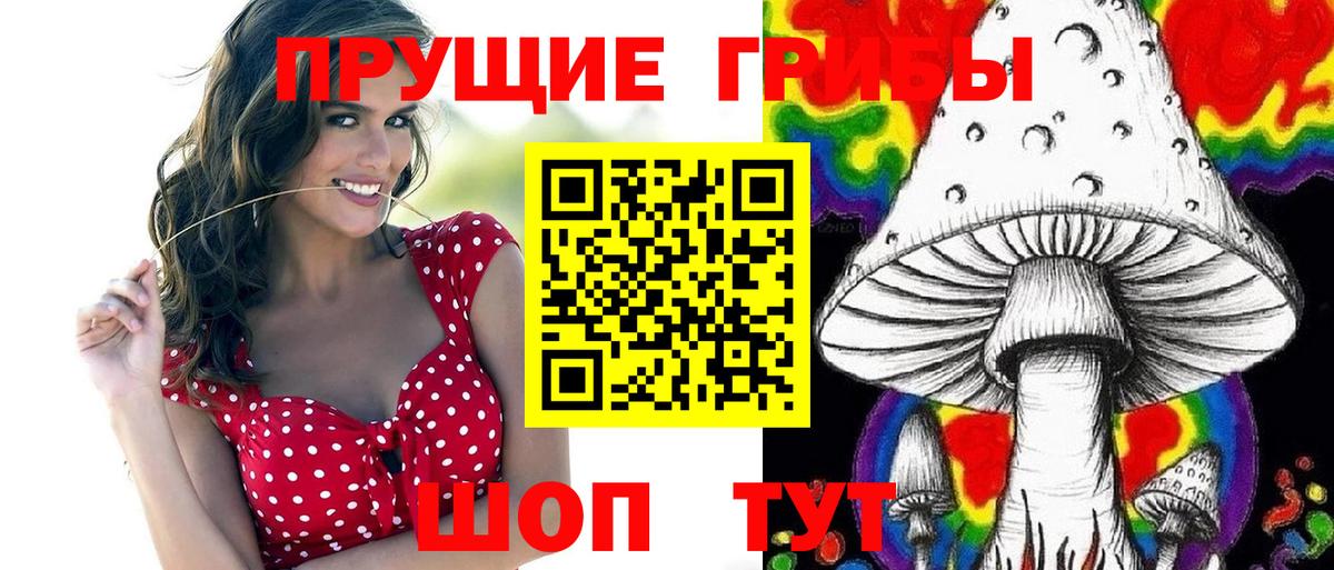 Горно-Алтайск  Псилоцибиновые грибы Cubensis  Вход с VPN  Галлюциногенные грибы ЛСД 